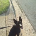Photo of Alpha