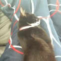 Photo of Penelope