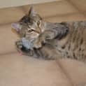 Photo of Marbell