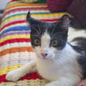 Photo of Moe