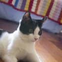 Photo of Moe