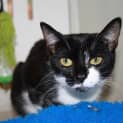 Photo of Kitty Katherine