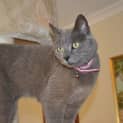 Photo of Peggy
