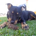 Photo of Cindy
