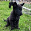 Photo of Zephyr 