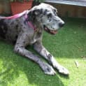 Photo of Tilly