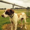 Photo of Cash