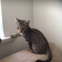 Photo of Kiara