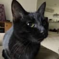 Photo of Bonnie