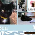 Photo of Ben