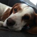 Photo of Jersey(im On Trial With A Wonderful Family)