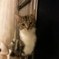 Photo of Bond