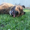 Photo of Lenny