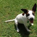 Photo of Lilly