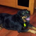Photo of Bruce Dl768