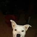Photo of Eddie