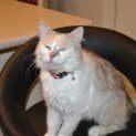 Photo of Matilda