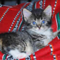 Photo of Matilda