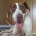 Photo of Cash