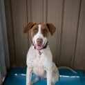 Photo of Cash