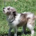 Photo of Maggie