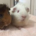 Photo of Kip And Benson