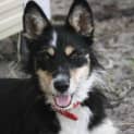 Photo of Molly