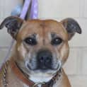 Photo of Portia