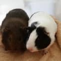 Photo of Mimi And Madeline