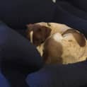 Photo of Cash