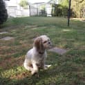 Photo of Buttons