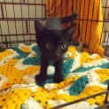 Photo of Ebby