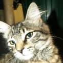 Photo of Rhonda (Ronnie)
