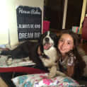 Photo of Max ~ Border Collie ~ On Trial 24/3/15