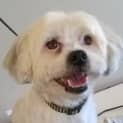Photo of Jake