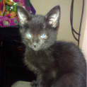 Photo of Jessie