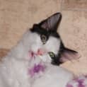 Photo of Nakita