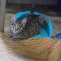 Photo of Martha
