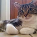 Photo of Bond