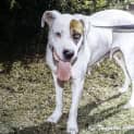 Photo of Mari