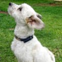 Photo of Armani *On Trial In Her New Home*