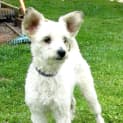 Photo of Armani *On Trial In Her New Home*