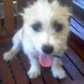Photo of Meeca