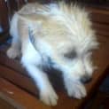 Photo of Meeca