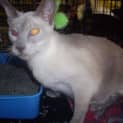 Photo of Zoe