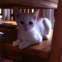 Photo of Fred
