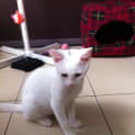 Photo of Fred