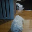 Photo of Allie
