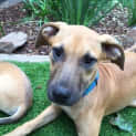 Photo of Mabel 