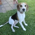 Photo of Murphy *On Trial In His New Home*
